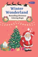 Winter Wonderland: Book 3 (Colorful Adventures: Imagination Unleashed Series) B0CPM5V9SJ Book Cover