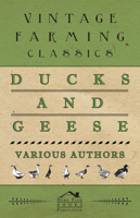 Ducks and Geese 177441211X Book Cover