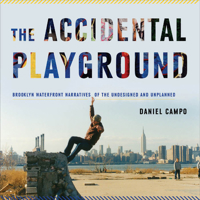 The Accidental Playground: Brooklyn Waterfront Narratives of the Undesigned and Unplanned 0823251861 Book Cover