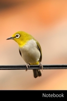 Notebook: 白鳥、鳥、湖 ノートブック/ 日記 / ライティングブック / ノート - 6 x 9インチ(15.24 170632197X Book Cover