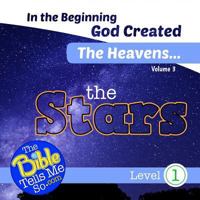 In the Beginning God Created the Heavens - The Stars 198691643X Book Cover