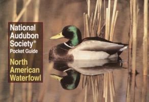 National Audubon Society Pocket Guide to Waterfowl (National Audubon Society Pocket Guides) 0679749241 Book Cover