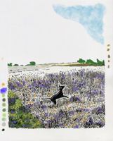 Meandering Muses: Inspirations from A to Z 1736885421 Book Cover