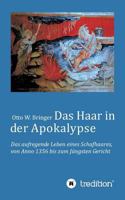 Das Haar in der Apokalypse: Das aufregende Leben eines Schafhaares von Anno 1356 bis zum Jüngsten Gericht. 3743960680 Book Cover