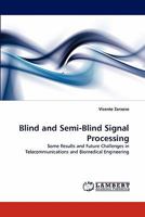 Blind and Semi-Blind Signal Processing: Some Results and Future Challenges in Telecommunications and Biomedical Engineering 3843365687 Book Cover