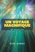 Un Voyage Magnifique: DMT - Ayahuasca - Iboga B0BRM2QJBV Book Cover