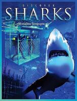 Discover Sharks (Discover Animals) 0766034747 Book Cover