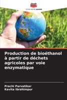 Production de bioéthanol à partir de déchets agricoles par voie enzymatique 6206241114 Book Cover