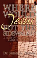 Where Would Jesus Put The Sidewalks?: A Study Of Faith & Politics: A Most Holy Alliance 1592990835 Book Cover