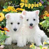 I Love Puppies 2027 12 X 24 Inch (Hanging) Monthly Square Wall Calendar Plastic-Free B0GH8Y6DSB Book Cover
