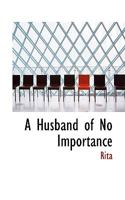 A Husband of No Importance 1021419079 Book Cover