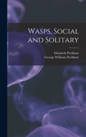 Wasps: Social and Solitary 1528710029 Book Cover