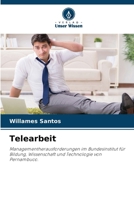 Telearbeit (German Edition) 6209961444 Book Cover