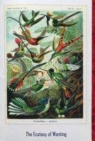 The Ecstasy of Wanting 0985996625 Book Cover