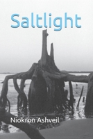 Saltlight B0FL6XXPZN Book Cover