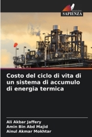 Costo del ciclo di vita di un sistema di accumulo di energia termica (Italian Edition) 6207683188 Book Cover