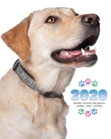 2020 Labrador Retriever Dog Planner - Weekly - Daily - Monthly 1642526304 Book Cover