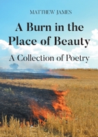 A Burn in the Place of Beauty: A Collection of Poetry B0FFWH1Z5V Book Cover