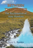 Between Two Creeks: The Reclamation of Amy Hawkins 1665772247 Book Cover