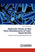 Molecular Study of Rice Plant Rhizobacteria of Indo-Nepal Border: A research work for improved yield of crops 3659132098 Book Cover