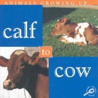 Calf to Cow 1589526902 Book Cover