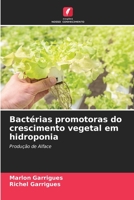 Bactérias promotoras do crescimento vegetal em hidroponia 6205665360 Book Cover
