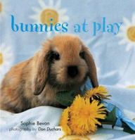 Bunnies at Play 1841726168 Book Cover