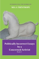 Politically Incorrect Essays by a Concerned Activist: Book 1 0645184055 Book Cover