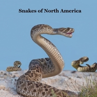 Snakes of North America Kids Book: Great Children's Book about the Types of Snakes in North America 1965098525 Book Cover
