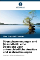 Überschwemmungen und Gesundheit: eine Übersicht über unterschiedliche Ansätze und Wahrnehmungen (German Edition) 6207194942 Book Cover