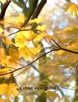 Cahier Hexagonal: 150 pages avec des hexagones pour prendre vos notes de chimie organique, biochimie (�tudiants, professeurs et professionnels) 1707909873 Book Cover