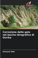 Correzione delle gole nel bacino idrografico di Ourika 6206059871 Book Cover