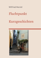 Fluchtpunkt: Kurzgeschichten (German Edition) 3769302265 Book Cover