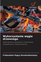 Wykorzystanie wegla drzewnego (Polish Edition) 6209759734 Book Cover