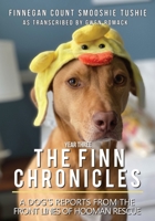 The Finn Chronicles: Year Three 1735247340 Book Cover