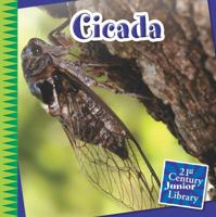 Cicada 1633625893 Book Cover