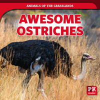 Awesome Ostriches 1725316889 Book Cover