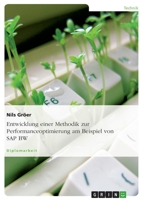 Entwicklung Einer Methodik Zur Performanceoptimierung Am Beispiel Von SAP Bw 3638689433 Book Cover