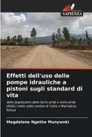 Effetti dell'uso delle pompe idrauliche a pistoni sugli standard di vita (Italian Edition) 620833005X Book Cover