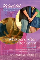 Whispers After the Storm: Three Stories of Bravery, Boundaries, and the Love That Waits (Velvet Ink: Love That Grows in Quiet Places) B0FF9CCWHL Book Cover