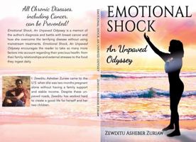Emotional Shock: An Unpaved Odyssey 0578393050 Book Cover