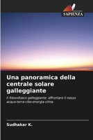 Una panoramica della centrale solare galleggiante (Italian Edition) 6207071433 Book Cover