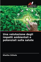 Una valutazione degli impatti ambientali e potenziali sulla salute 6204026593 Book Cover