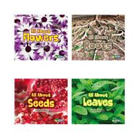 All about Plants 1484638611 Book Cover