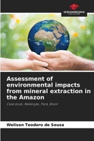 Assessment of environmental impacts from mineral extraction in the Amazon 620727346X Book Cover
