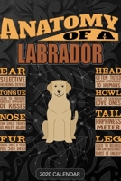 Anatomy Of A Labrador Retriever: Labrador Retriever 2020 Calendar - Customized Gift For Labrador Retriever Dog Owner 167971144X Book Cover