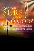 Are You Sure There Is No God?: A Book of Miracles Including My Warning from Jesus Himself 1470089025 Book Cover