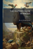 The Amphipoda Of Bermuda B0FKHH3Q36 Book Cover