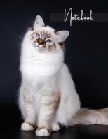 Notebook: Unlined - Unruled - Plain Notebook - Blank Journal - 130 Pages - Large Format 8.5 x 11 in - Workbook - Composition - Cats - Ragdoll Cover Design 1716113113 Book Cover
