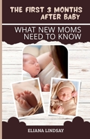The First 3 Months After Baby: What New Moms Need to Know B0FDQ2P4SL Book Cover
